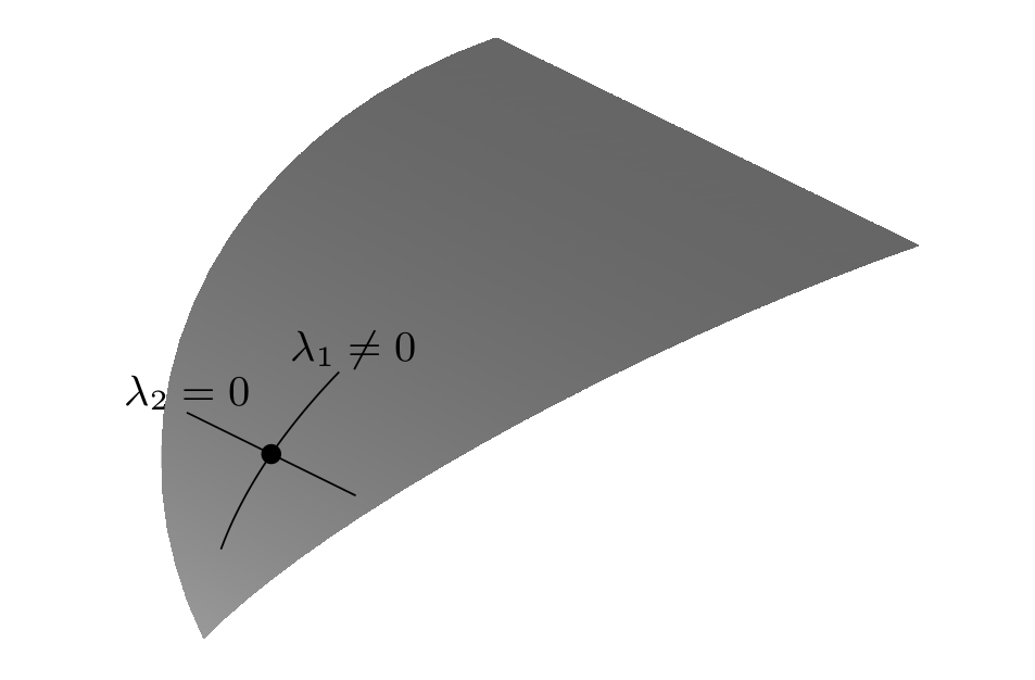 theorema-egregium-matematica-figura-3
