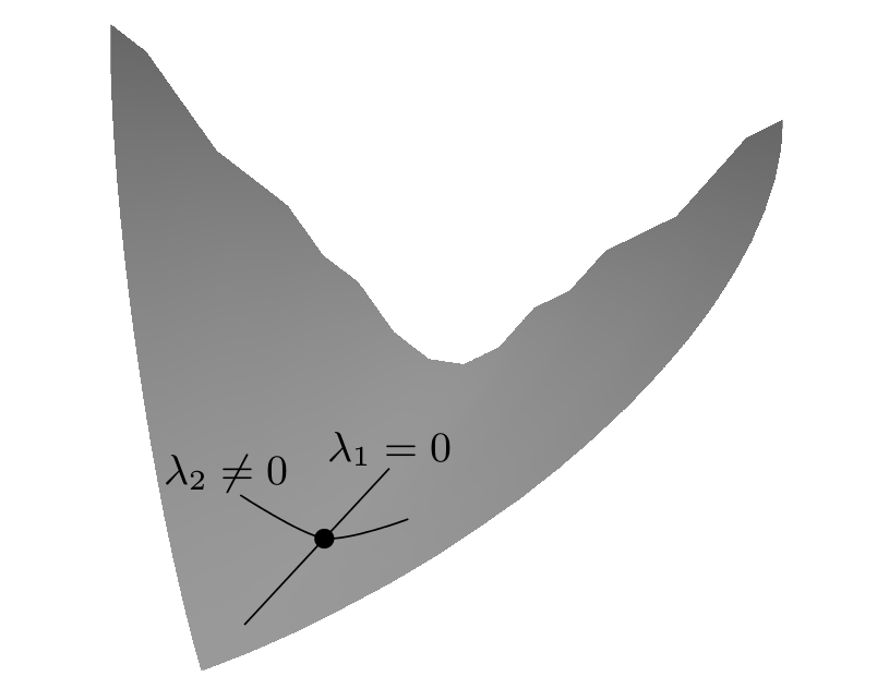 theorema-egregium-matematica-figura-4