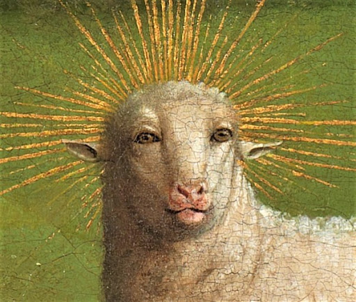 virtù-agnello