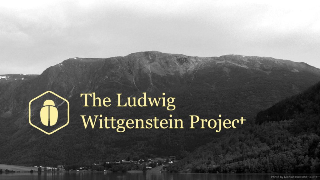 Wittgenstein project
